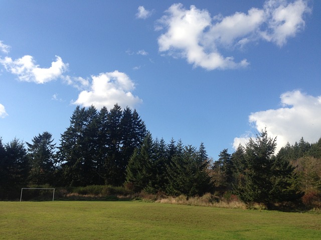 这种电池板